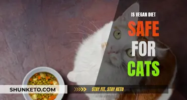 Vegan Diet for Cats: Safe or Not?