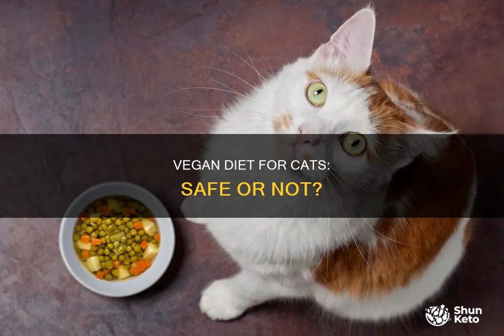 is vegan diet safe for cats