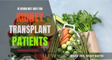 Vegan Diet Safety for Kidney Transplant Patients