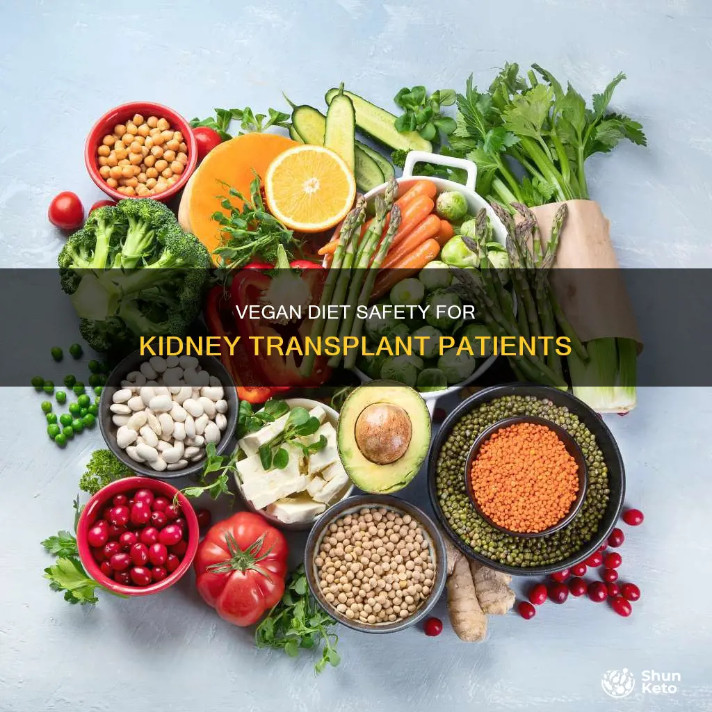 is vegan diet safe for kidney transplant patients