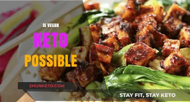Can You Combine Vegan and Keto? A Plant-Based Low-Carb Guide