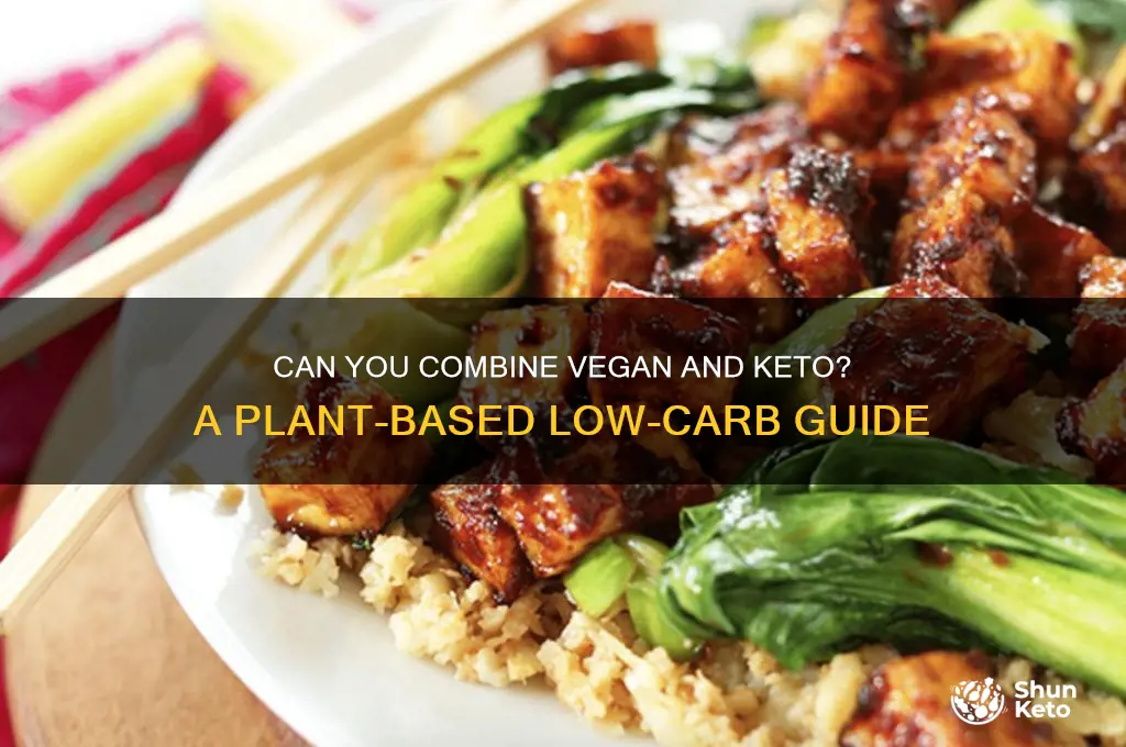 is vegan keto possible