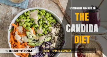 Vegenaise on Candida Diet: Yay or Nay?
