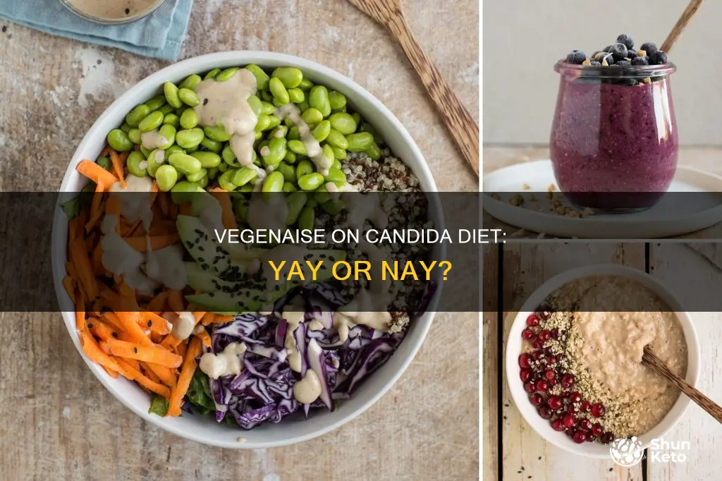 is vegenaise allowed on the candida diet