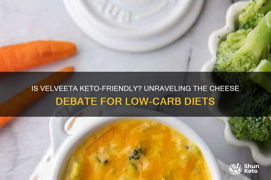is velveeta keto