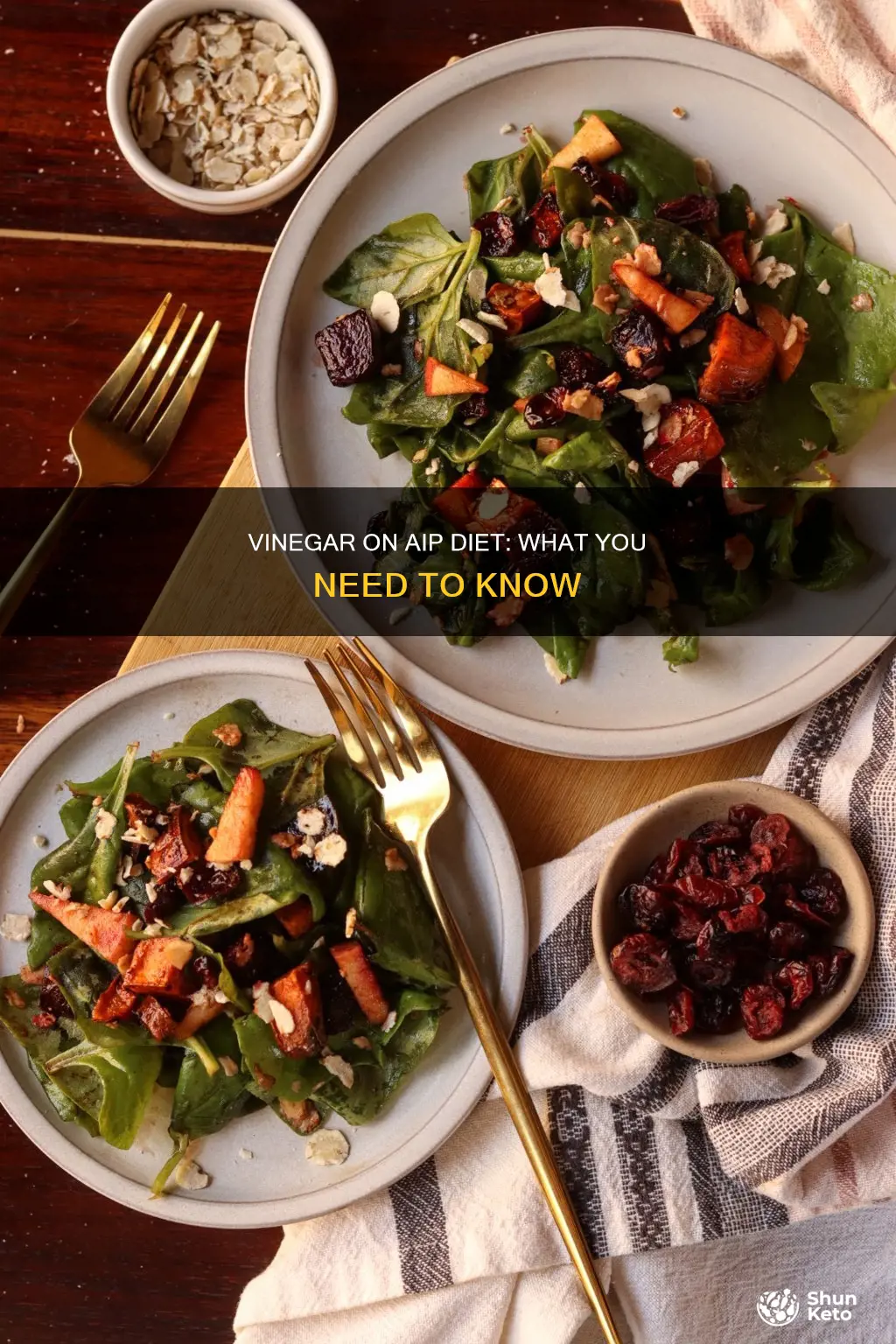 is vinegar allowed on aip diet