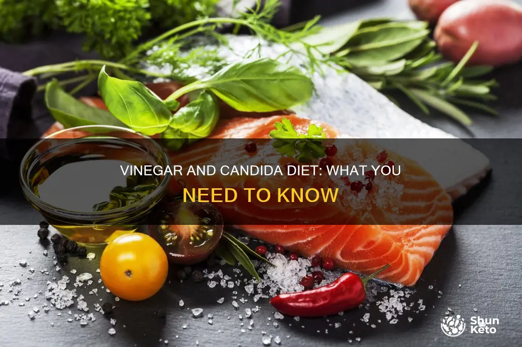is vinegar ok for candida diet