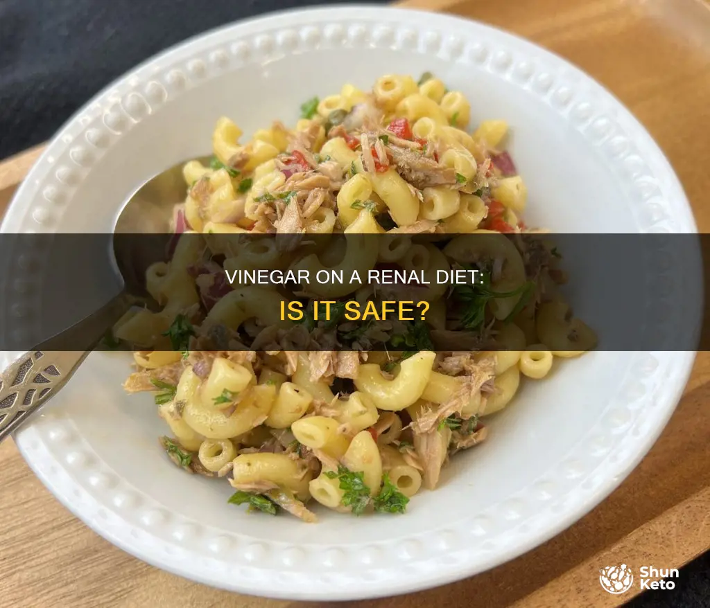is vinegar ok on a renal diet