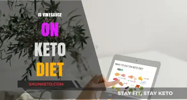 Is Vinesauce on Keto? Unraveling the Streamer's Diet Secrets
