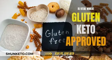 Gluten Keto-Friendly? Vital Wheat Gluten's Place in Ketogenic Diets