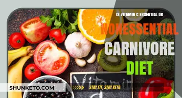 Vitamin C and Carnivore Diet: Essential or Not?