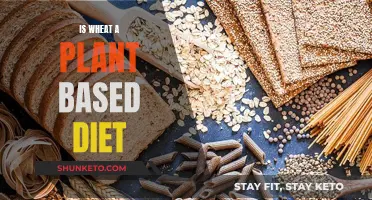 Wheat and Plant-Based Diets: What's the Connection?