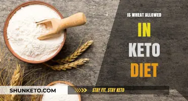 Can You Eat Wheat on Keto? Unraveling the Diet Dilemma