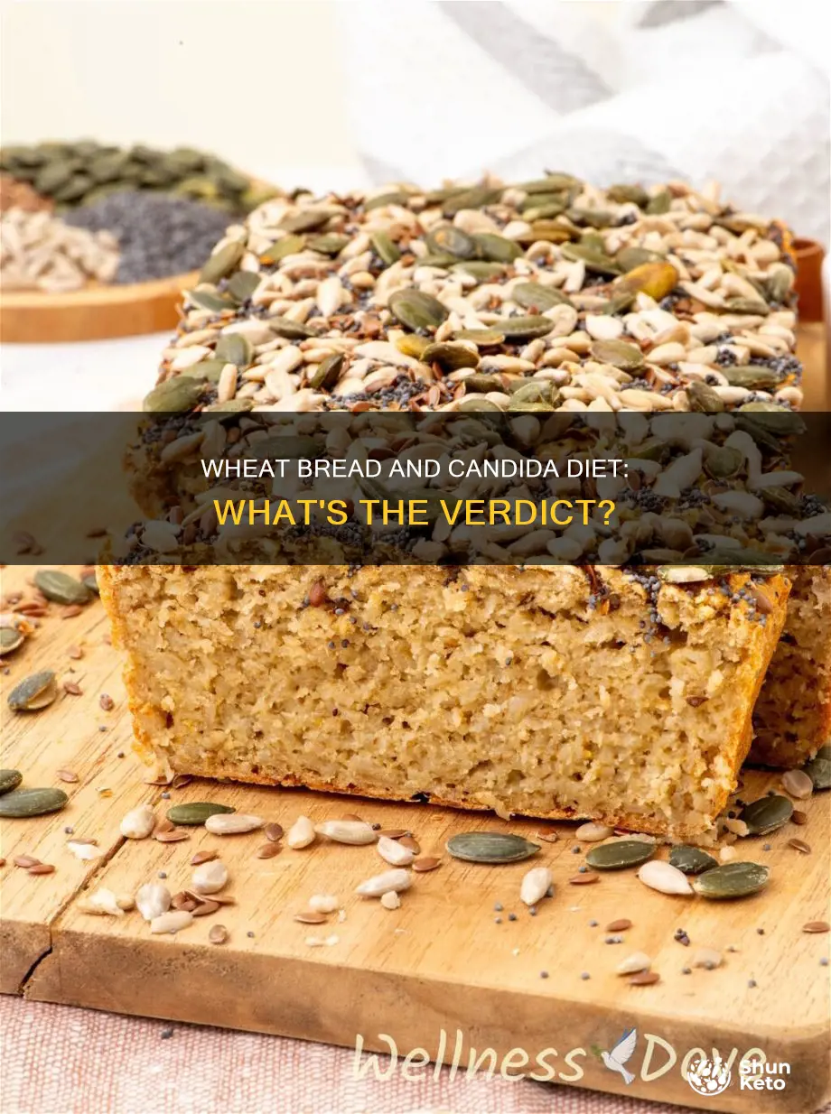 is wheat bread ok for candida diet