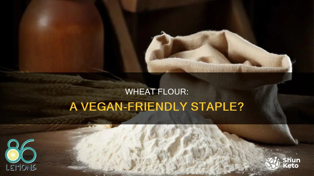 is wheat flour ok for a vegan diet