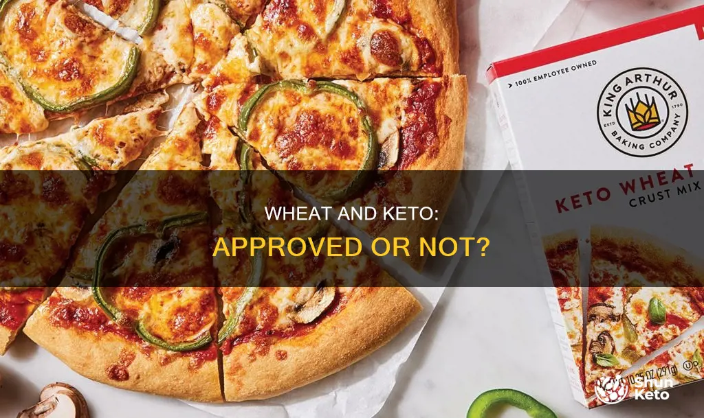 is wheat keto approved