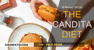 Wheat and Candida Diet: What's the Connection?