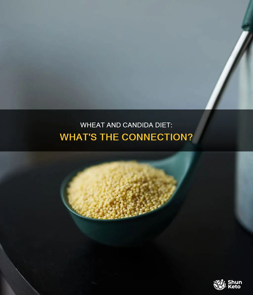is wheat ok on the candita diet