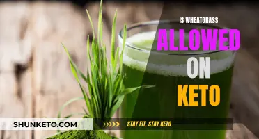 Wheatgrass on Keto: Friend or Foe?