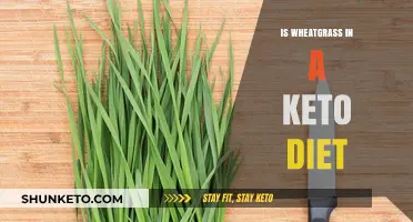 Can Wheatgrass Fit into a Keto Diet? Nutrition Facts Explained