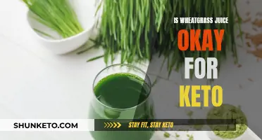 Wheatgrass Juice: Friend or Foe of the Keto Diet?