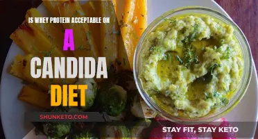 Whey Protein and Candida Diet: What's the Verdict?