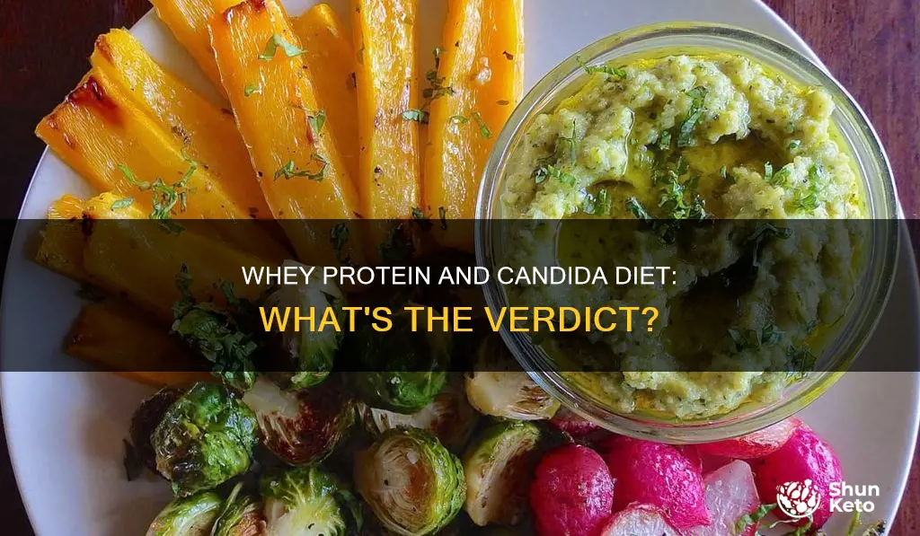 is whey protein acceptable on a candida diet