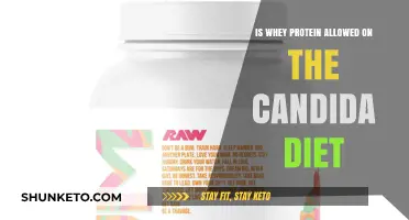 Whey Protein and Candida Diet: What's Allowed?