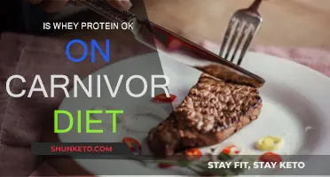 Whey Protein and Carnivore Diet: Friend or Foe?