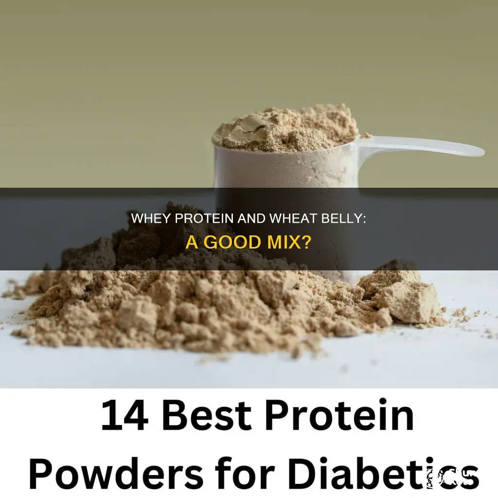 is whey protein ok on wheat belly diet