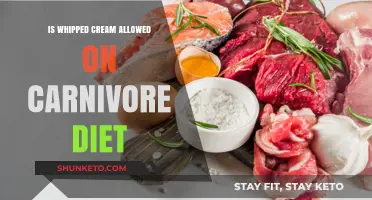 Carnivore Diet: Is Whipped Cream Allowed?