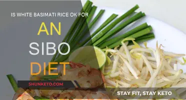 Basmati Rice and SIBO Diet: Is It Safe?