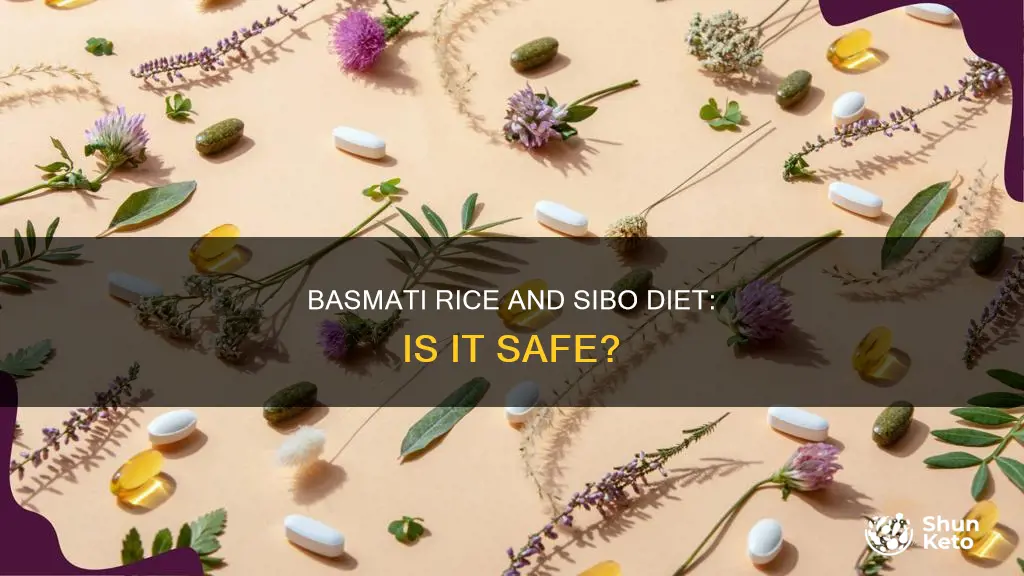is white basimati rice ok for an sibo diet