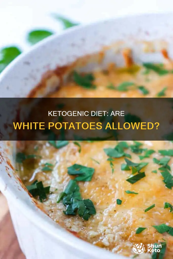 is white potato on ketogenic diet