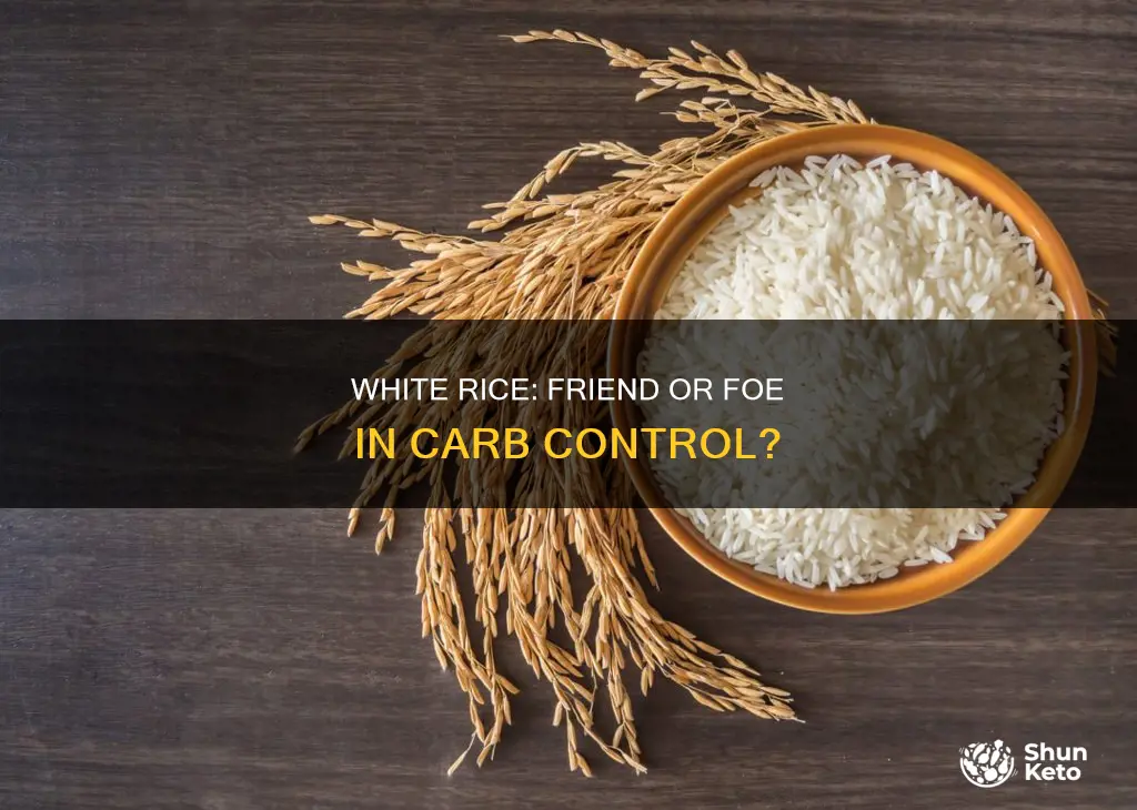 is white rice in a carb controlled diet