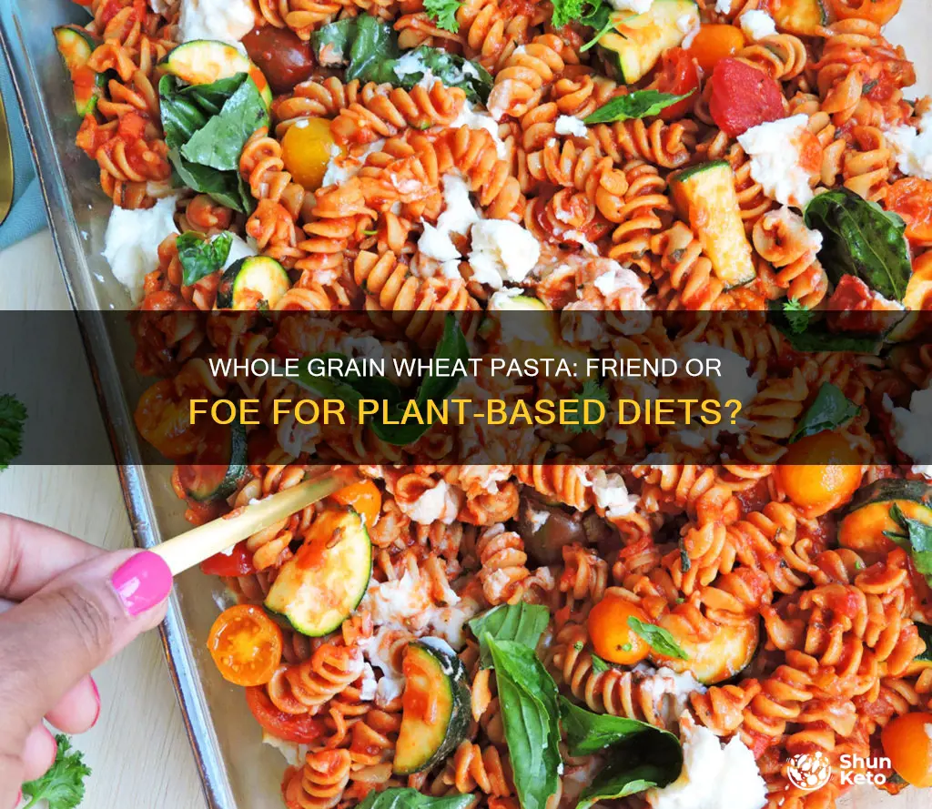 is whole grain wheat pasta allowed on plant based diet