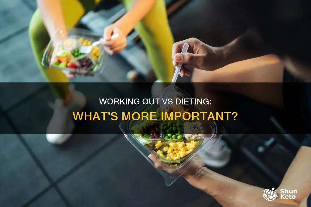 is workout or diet more important