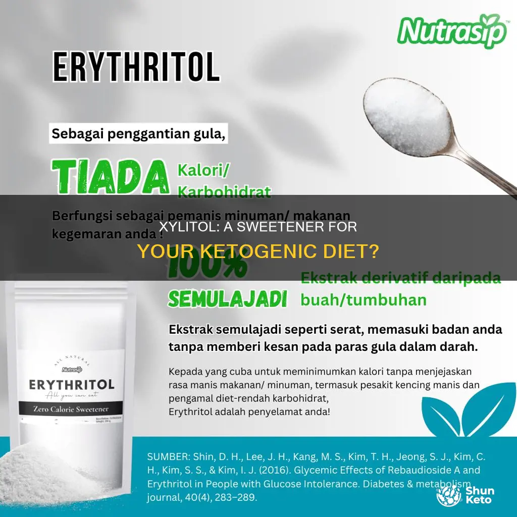 is xylitol ok for ketogenic diet