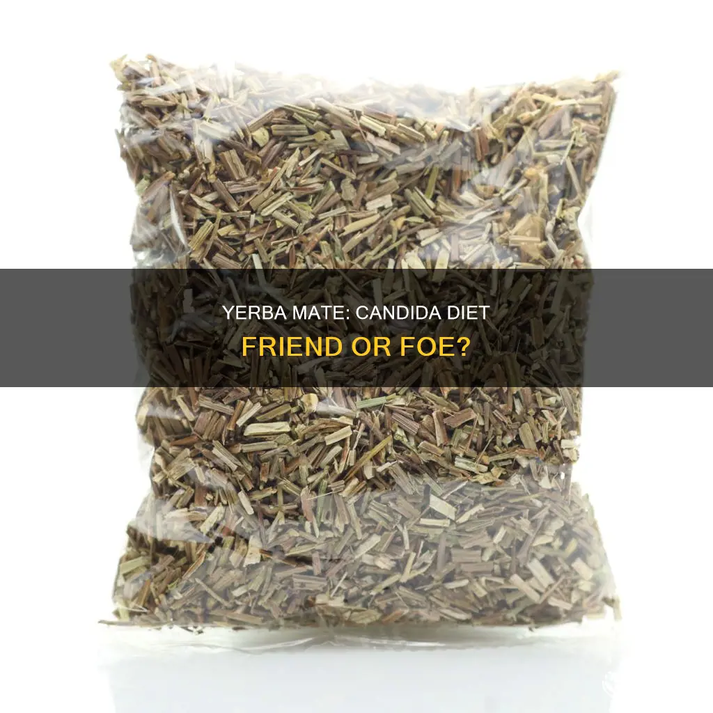 is yerba mate ok on candida diet