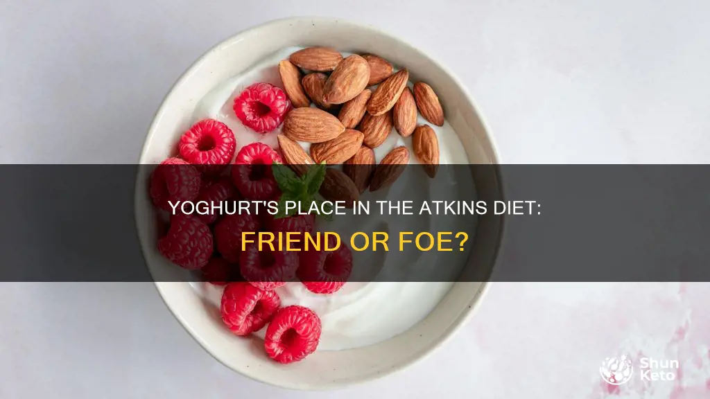 is yoghurt on the atkins diet