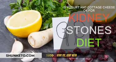 Yogurt and Cottage Cheese: A Safe Bet for Kidney Stones?