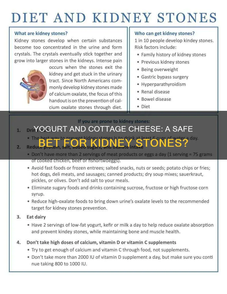 is yogurt and cottage cheese ok for kidney stones diet