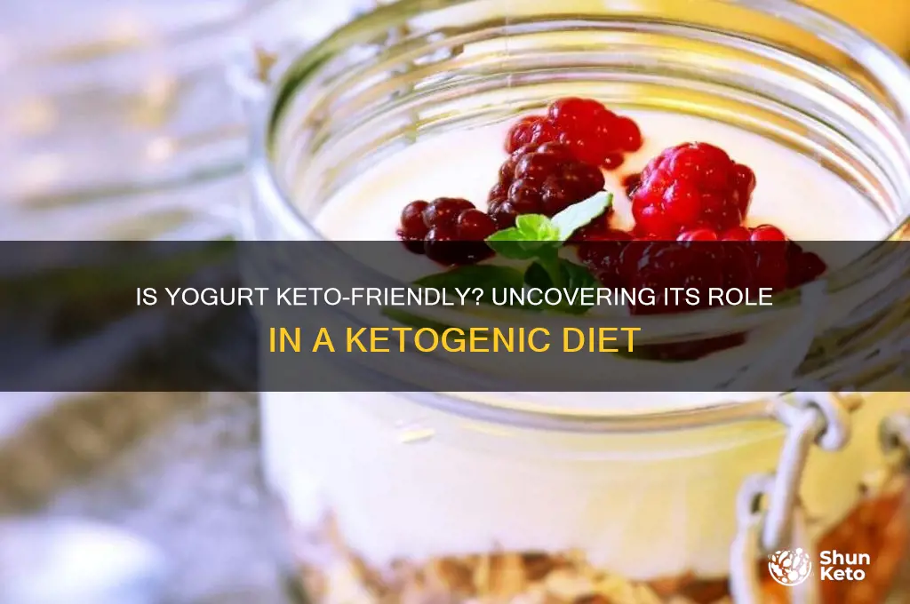 is yogurt ketogenic