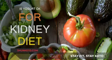 Yogurt and Kidney Diet: What You Need to Know