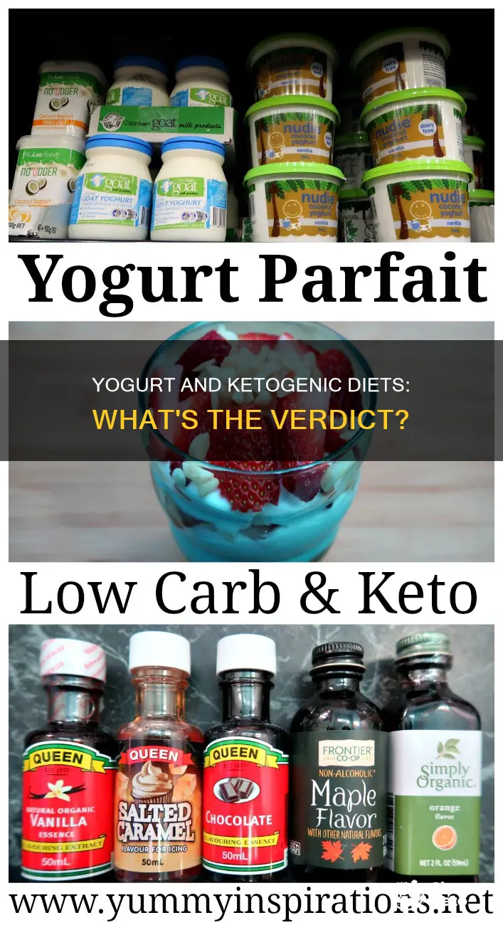 is yogurt ok on ketogenic diet