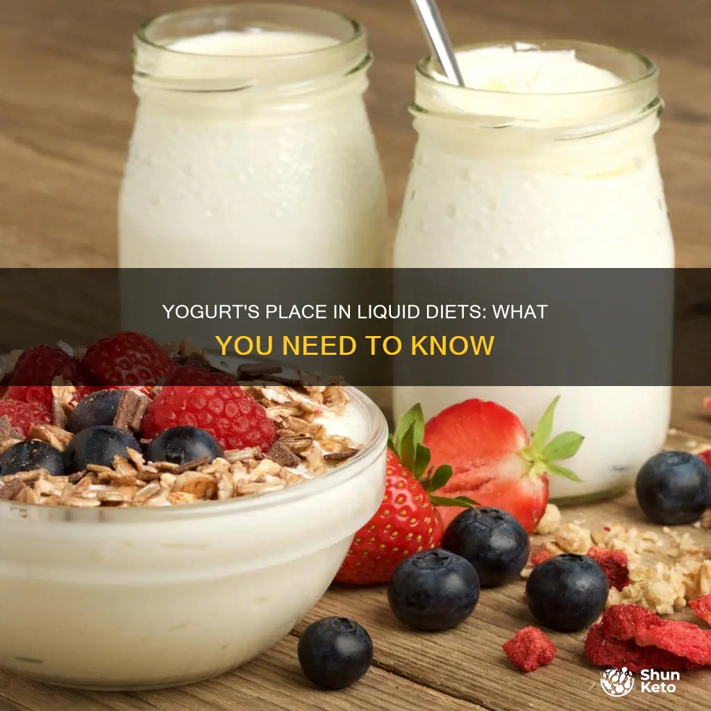 is yogurt part of a liquid diet