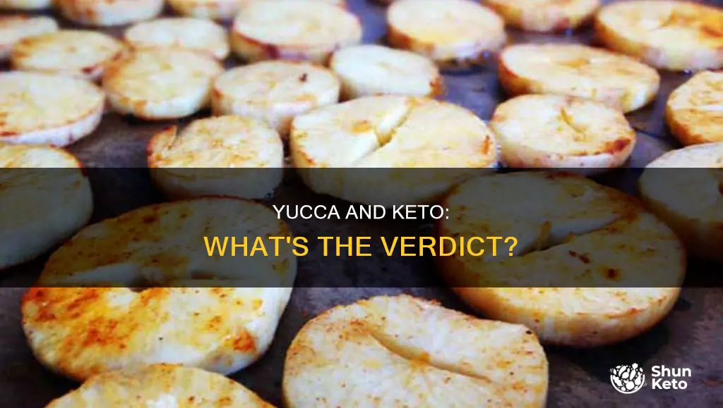 is yucca allowed on keto