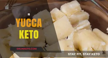 Is Yucca Keto-Friendly? Exploring Its Low-Carb Benefits and Uses