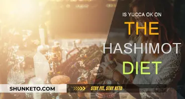 Yucca and Hashimoto's Diet: Is It Safe?