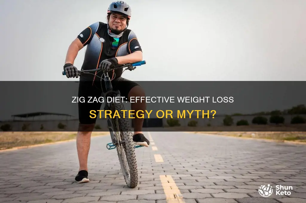 is zig zag diet effective